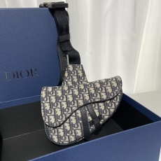 Dior Saddle Bags